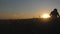 Silhouette of man agronomist farmer in golden wheat field at sunset. Male looks at the ears of wheat, rear view.