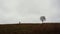 A silhouette of a man with a backpack walking up the hill to a lone tree on the horizon. Landscape background with a traveler.