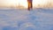 Silhouette of man with a backpack walking in a winter landscape at sunset. Concept adventure activity hobby extreme. A