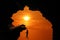 Silhouette of Man climbing in the cave or high cliffs at a red sky sunset