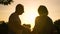 Silhouette of man giving bouquet to woman, romantic meeting outdoors at sunset