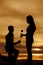 Silhouette of man on knee hand woman rose
