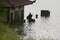 Silhouette of a man paddling toward a lakeside houses submerged