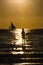 Silhouette of a man practicing stand-up paddle