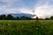 A silhouette of a man standing in a field of dandelions. Looking at the sunset