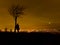 Silhouette of Man Stood By Tree