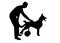 Silhouette Man strokes his paralyzed dog in a wheelchair.