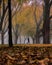 Silhouette of a man walking through Coronation Park on a foggy moody afternoon with colorful leaves and fall foliage