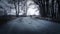 Silhouette of a man walking in the distance on a forest road in winter. There is a lot of snow. A lonely boy walks along a path in