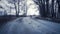 Silhouette of a man walking in the distance on a forest road in winter. There is a lot of snow. A lonely boy walks along a path in