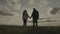 silhouette of a man and a woman at sunset, hold a partner's hand in the sun, teamwork, corporate happy farming group