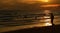 Silhouette of many people on beach and in sea in evening before sunset in holiday