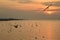 Silhouette of many seagulls flying over the sea at dawn, Thailand