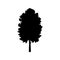 Silhouette maple icon tree flora