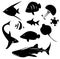 Silhouette marine animal and reptile such as shark, sea turtle,