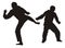 Silhouette of martial arts