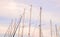 Silhouette Masts