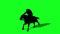 Silhouette of Medieval Knight  Ride Horse and make fight With Swords And Shield