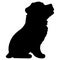 Silhouette of Miniature Schnauzer sitting