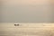 Silhouette minimalist of single fishery boat sail on calm sea i
