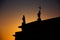 Silhouette of monuments on roof of Cathedral, Vilnius, Lithuania