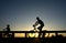 Silhouette motion cyclist bicycles against sunset