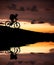 Silhouette of mountain biker with Reflection