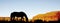 Silhouette of mustang horse eating grass