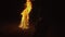 Silhouette of mystic woman in black background of fire fly flame, spark, of contour outline. Outdoor slow motion