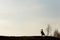 Silhouette of native indian american woman walking on hill among
