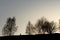 Silhouette of native indian american woman walking on hill among