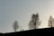 Silhouette of native indian american woman walking on hill among