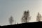 Silhouette of native indian american woman walking on hill among