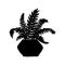 silhouette nephrolepis houseplant. Indoor potted plant vector black and white outline doodle illustration.