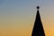 Silhouette of a New Year tree against a background of the evening sunny sky. Celebratory background.