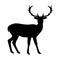 Silhouette noble proud deer vector illustration