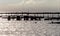 Silhouette of an old broken pier with birds in the sea in summer evening