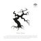 Silhouette of the old broken tree on a white background. Black d