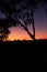 Silhouette in the Outback, South Australia