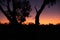 Silhouette in the Outback, South Australia