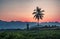 Silhouette Palm  Coconut tree with Mountains on background  horizon hills in Kanchanaburi Thailand at sunet