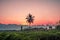 Silhouette Palm  Coconut tree with Mountains on background  horizon hills in Kanchanaburi Thailand at sunet