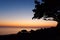 Silhouette palm or mangroves tree and sunset on sea in phuket island, Thailand