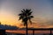 silhouette of a palm tree against the backdrop of the Mediterranean sea and sunset 2