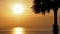 Silhouette palm tree with beautiful soft orange sky reflect the sea. Sunset in background. Abstract orange sky. Dramatic golden sk