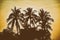 Silhouette palm tree with vintage filter background