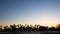 Silhouette of Palm Trees Against Clear Sunset Sky