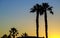 Silhouette palm trees at against the sky during a sunset