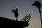 Silhouette of palm trees and the roof of Fort Provintia at sunset, Tainan, Taiwan