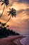 silhouette of palm trees on the sandy shore of the Indian Ocean with beautiful clouds on the sky sunset or unrise